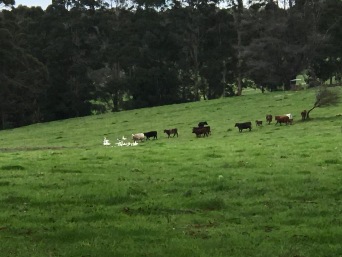 ホテル Scotsdale Farm デンマーク エクステリア 写真
