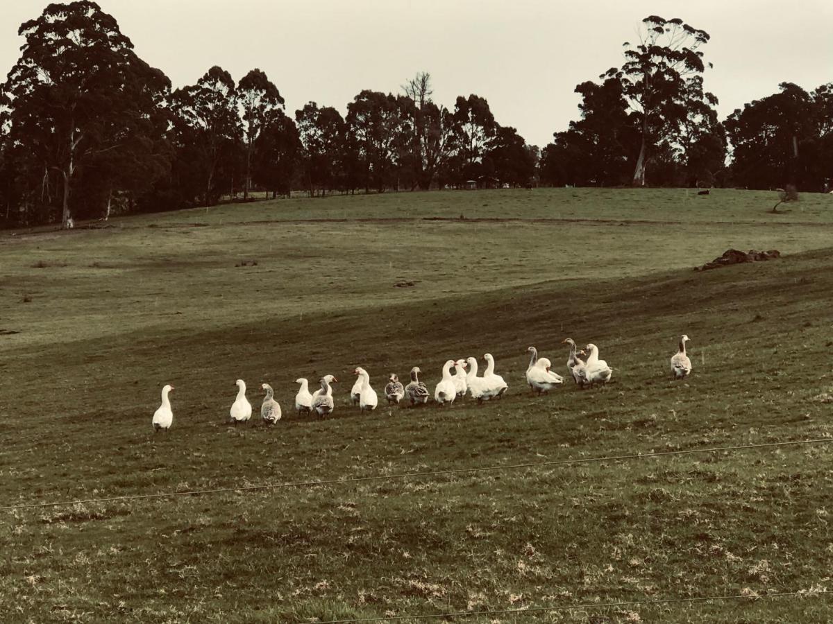ホテル Scotsdale Farm デンマーク エクステリア 写真